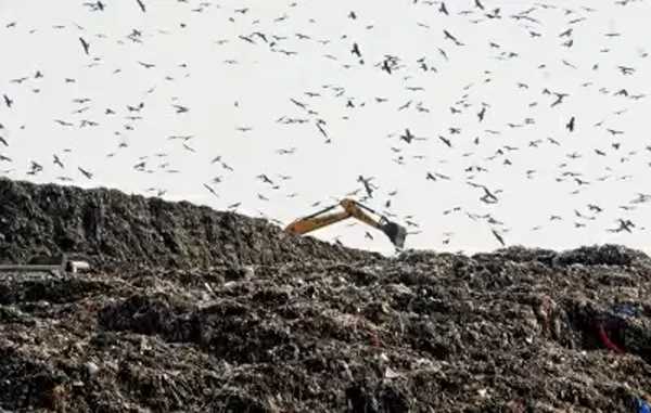 बढ़ते कूड़े के पहाड़ को लेकर एमसीडी से 30 मई तक रिपोर्ट पेश करने के लिए कहा: लोक लेखा समिति बढ़ते कूड़े के पहाड़ को लेकर एमसीडी से 30 मई तक रिपोर्ट पेश करने के लिए कहा: लोक लेखा समिति